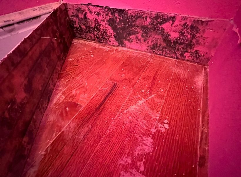 mold in bedroom closet 