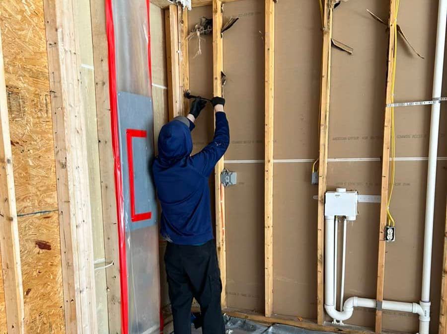 mold mitigation company 