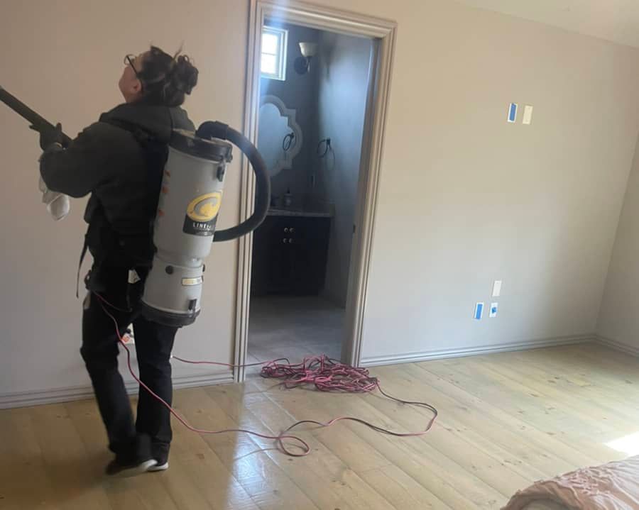 mold mitigation company