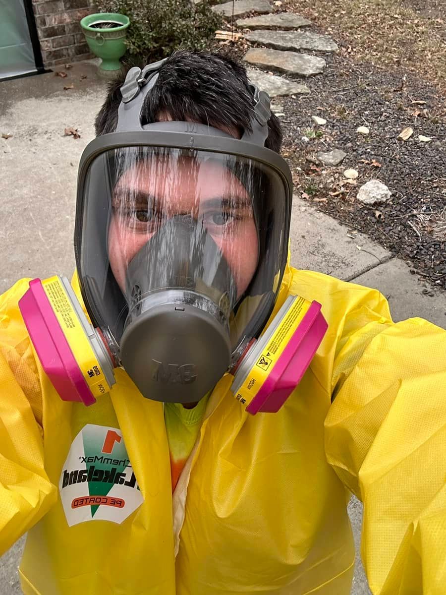 mold removal company