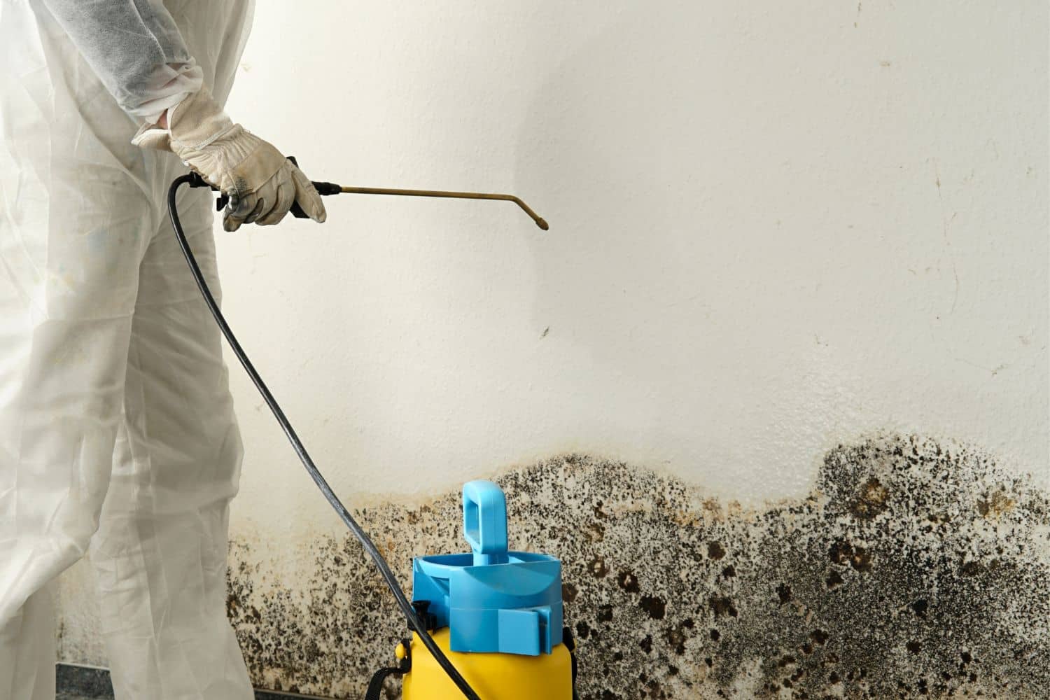 Mold Remediation Springfield MO