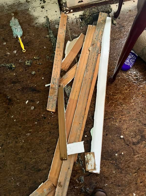 mold on baseboards