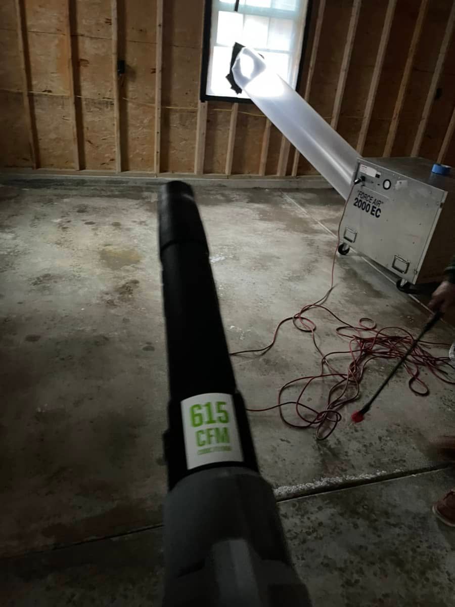mold removal equipment 