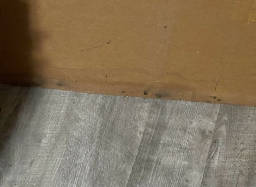 paneling damage