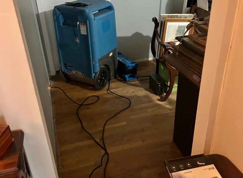 water mitigation