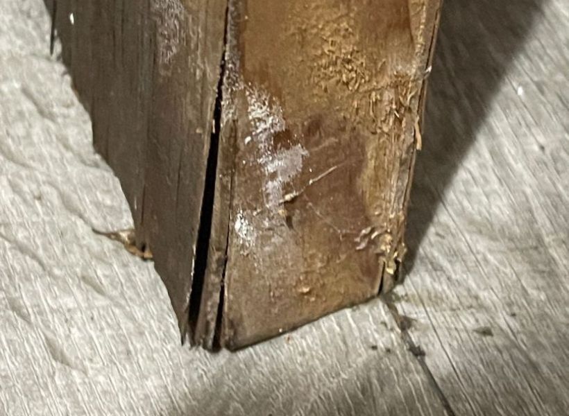 water-damaged basement door