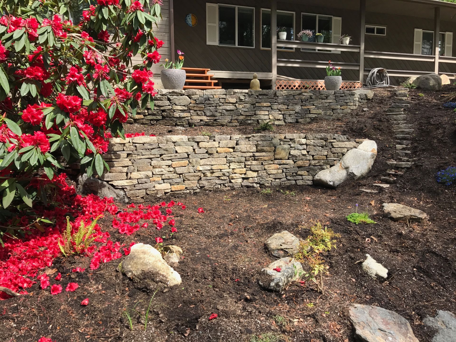 Rock garden with red flowering shrub in front of a stone wall and house windows.