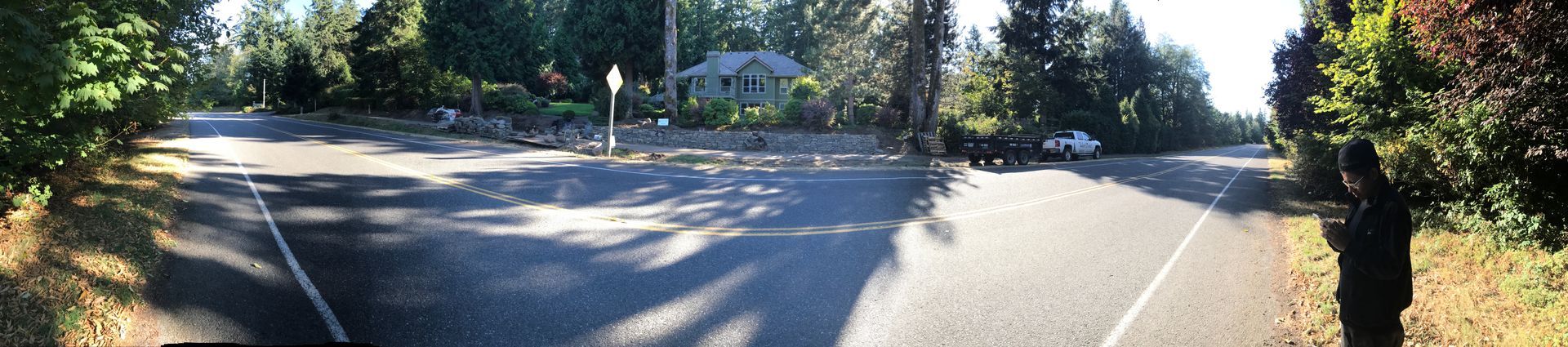 Sunny road beside a tree-lined walkway with shrubs and a distant house