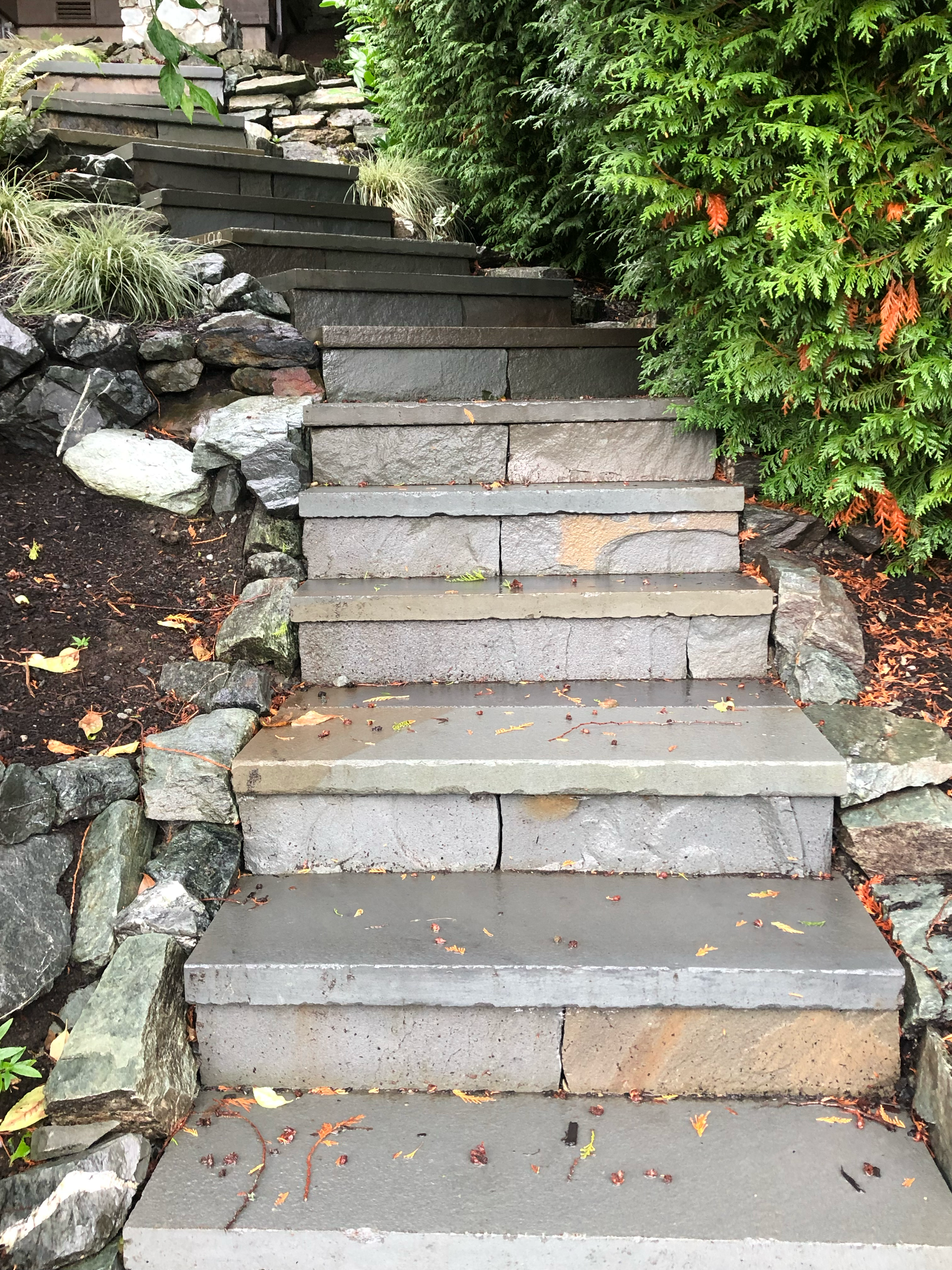 Stone outdoor staircase beside rocks and green shrubs, with fallen leaves scattered on the steps.