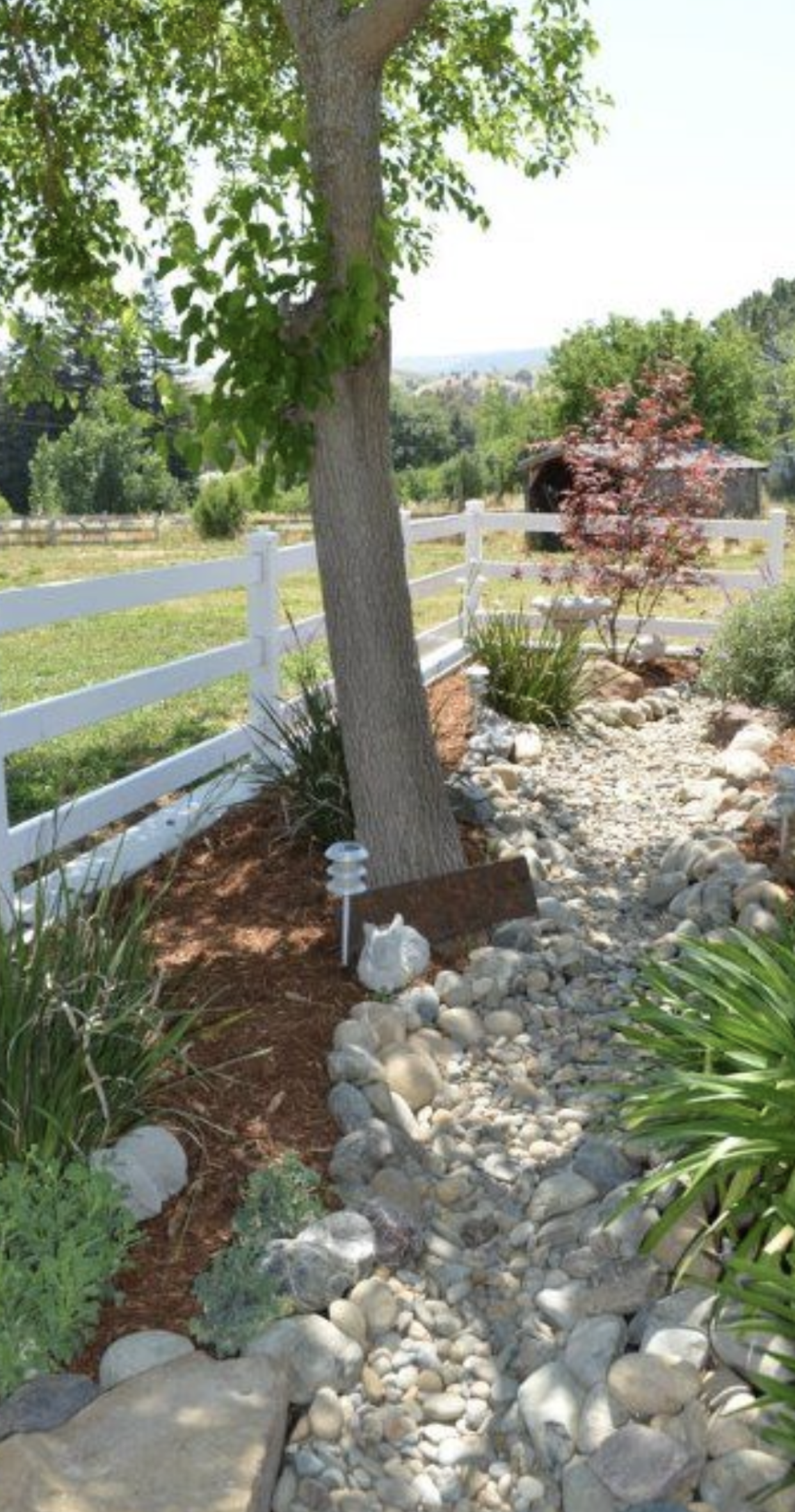 White fence, tree, and rock garden path in a sunny landscaped yard.