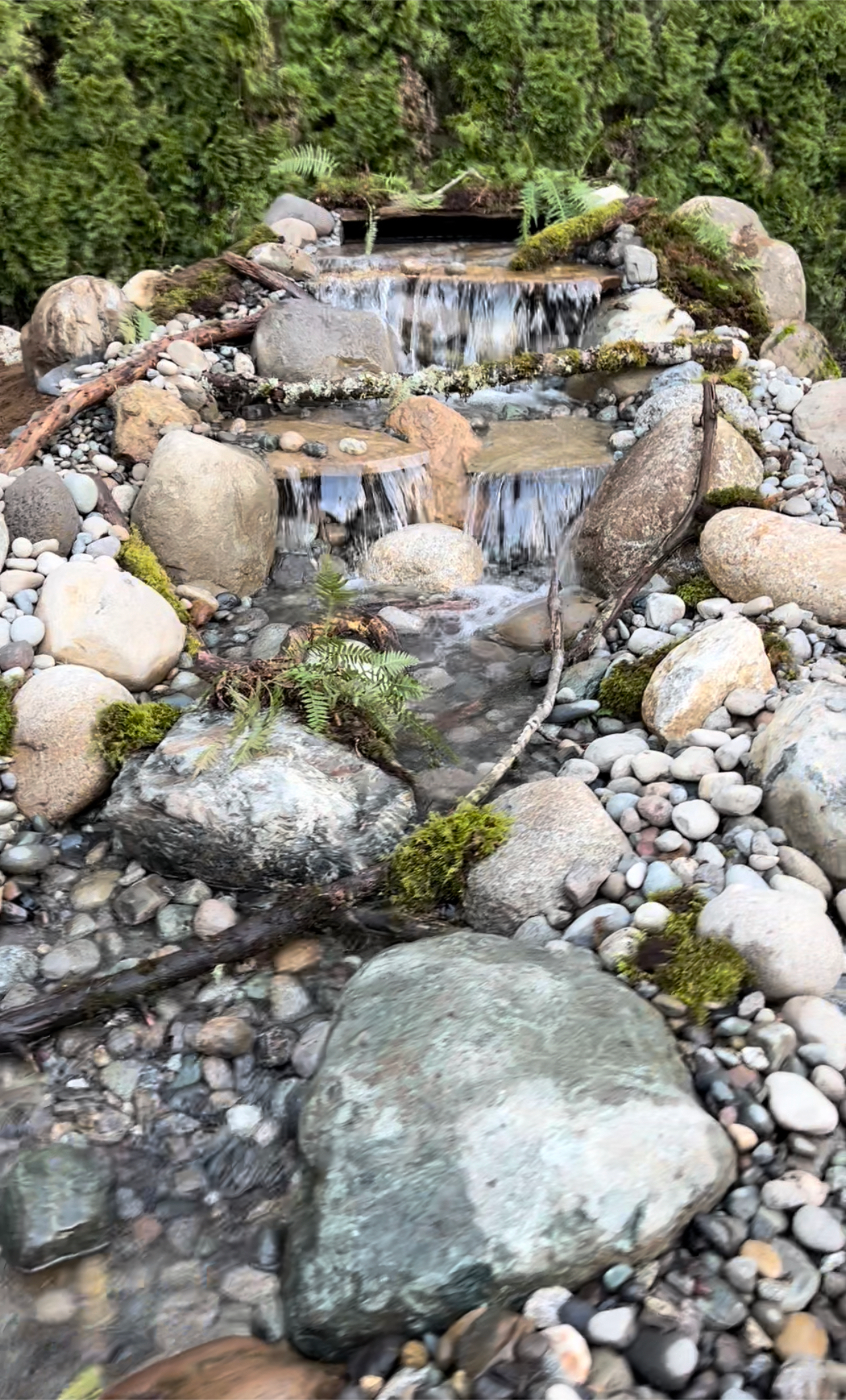 Small rocky stream cascade with clear water flowing through stones and moss in a forest setting