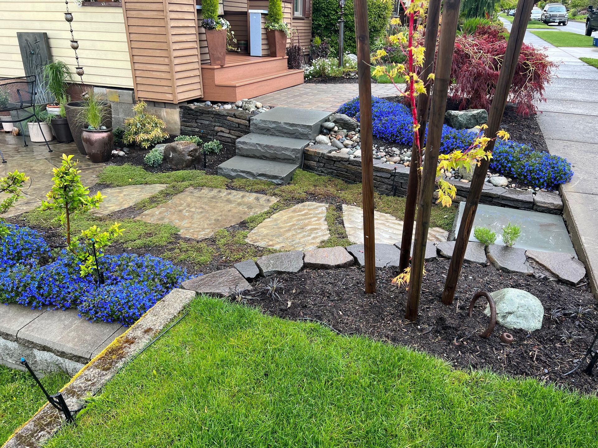 Front yard garden with stone path, blue flowers, trimmed shrubs, and steps to a house porch