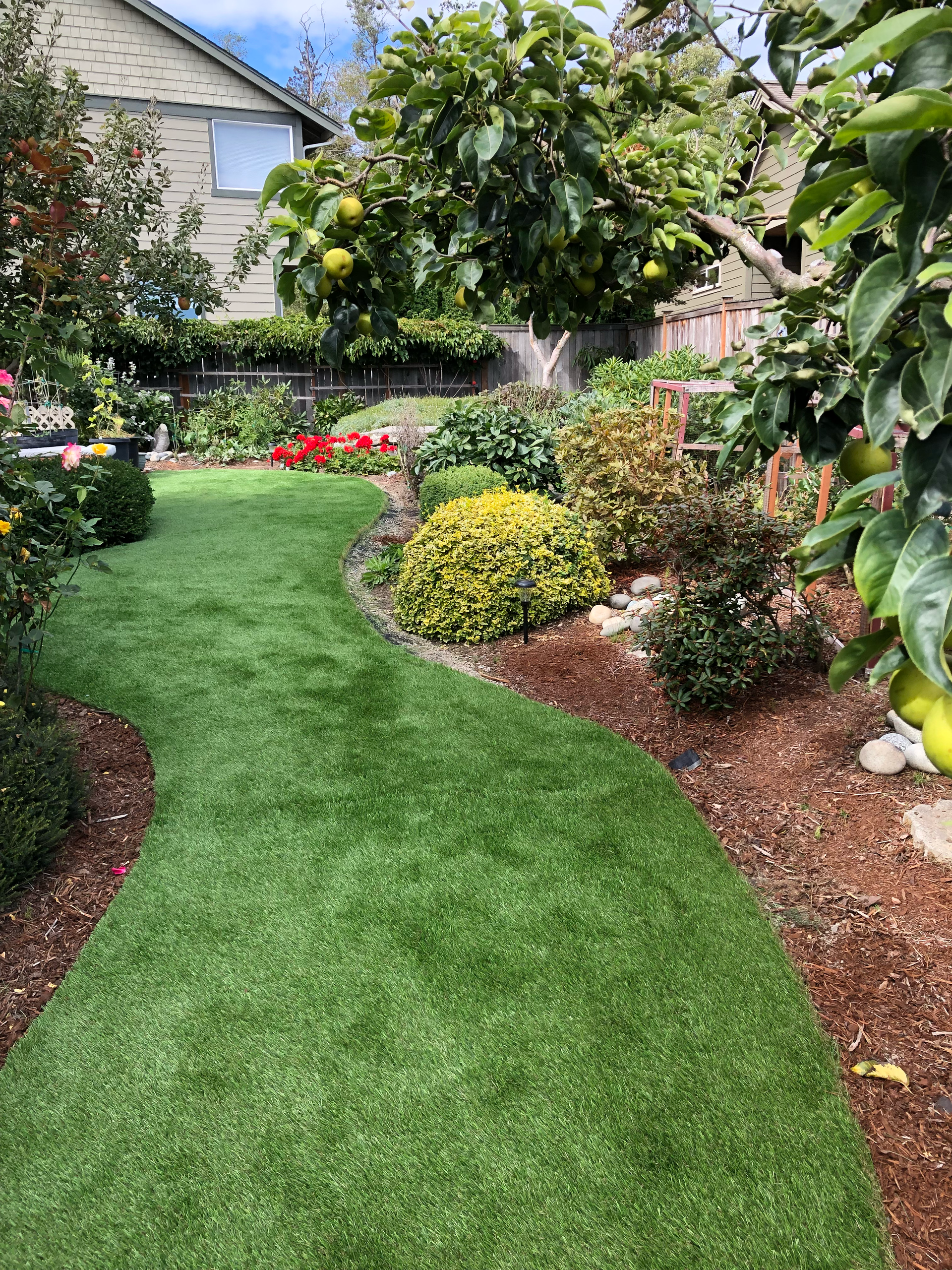 Curving green lawn path through a colorful garden with shrubs, flowers, and a house in the background