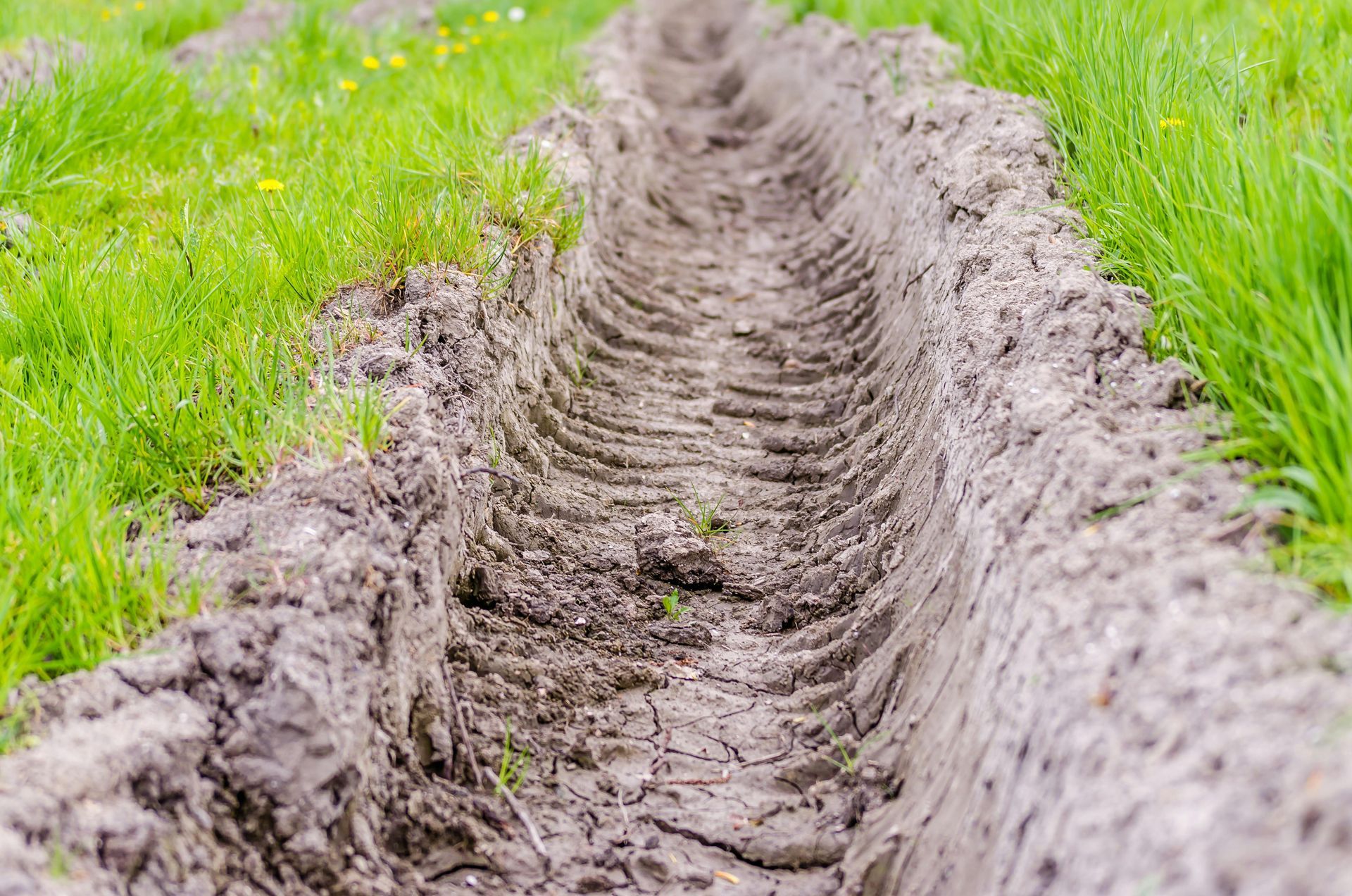 Tire track cut through muddy soil beside bright green grass