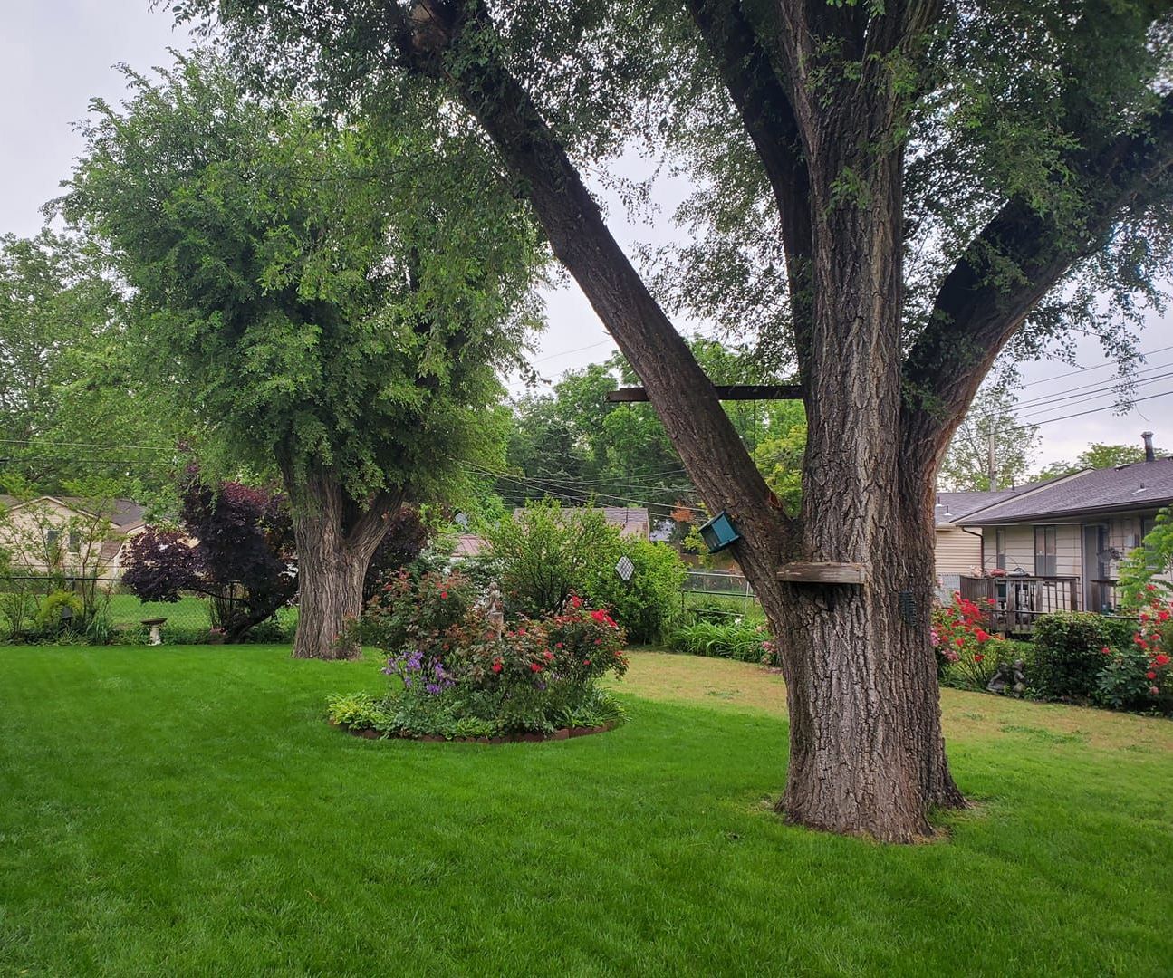 Lawn Care Service