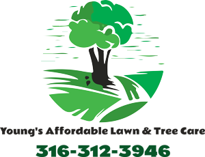 Young's Affordable Lawn and Tree Care LLC Young's Affordable Lawn and Tree Care LLC