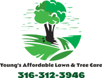 Young's Affordable Lawn and Tree Care LLC