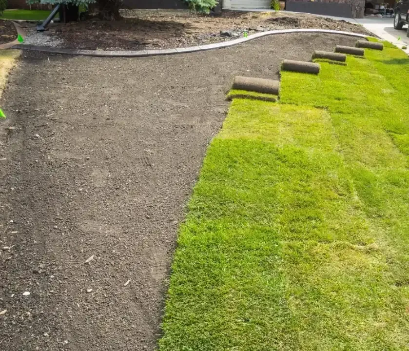 Gravel path beside bright green lawn with a row of small stepping stones and garden edging