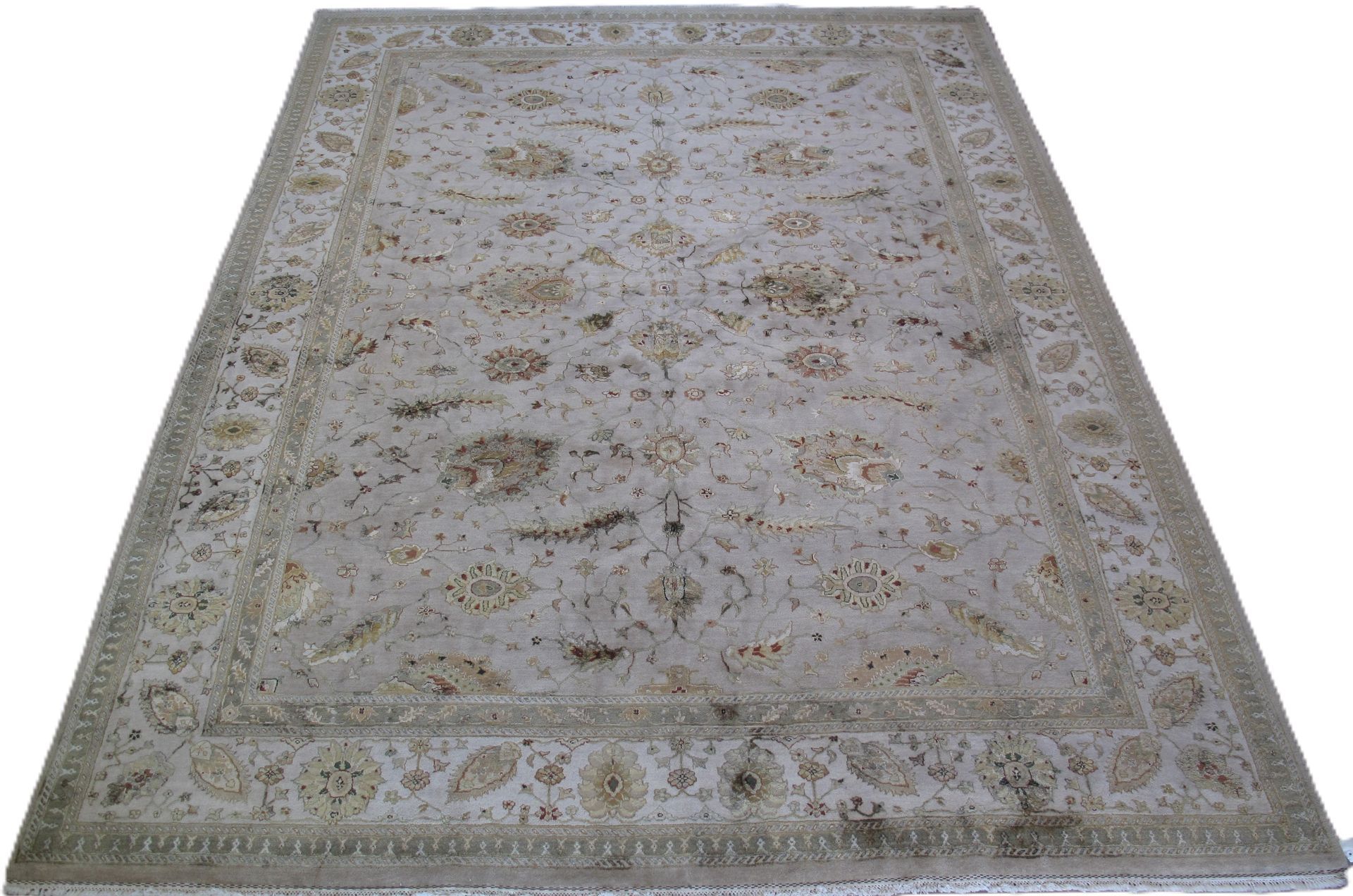Rectangular beige floral area rug with ornate border, viewed from above