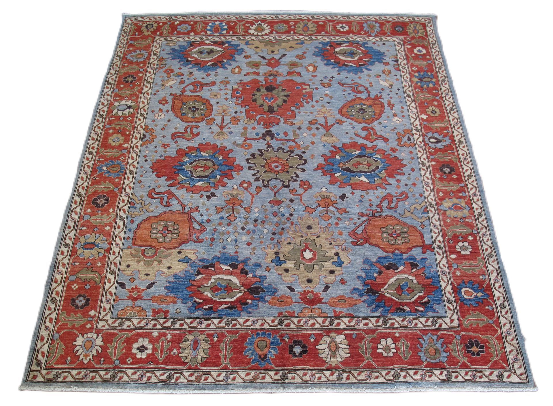 A rectangular area rug with a light blue background, red border, and intricate floral and medallion patterns.