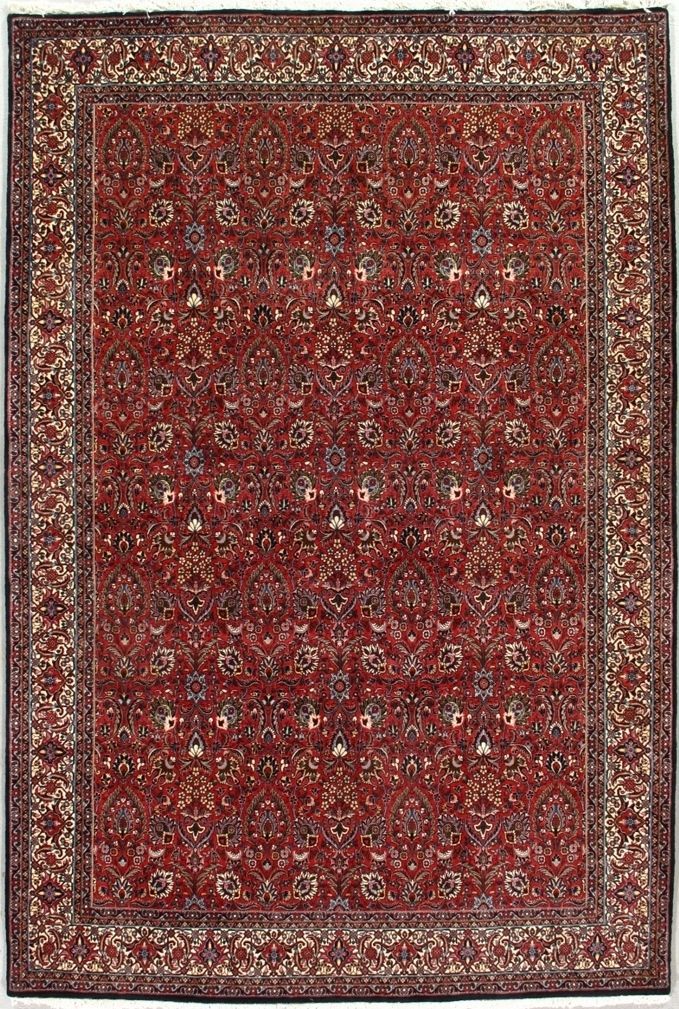 Bijar rug, 6'8