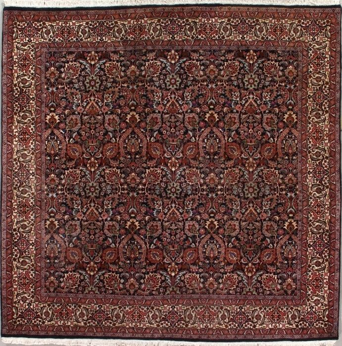 Bijar rug, 6'9