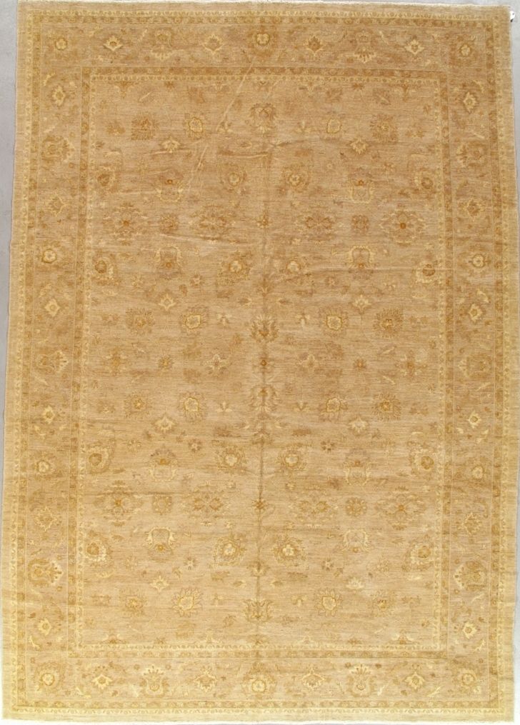 hand-knotted Pakistan Mahal-style rug with ivory ground and floral border, 9'10