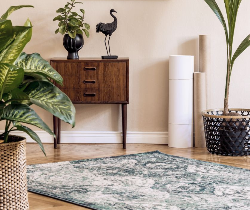 Vintage wooden cabinet with plants and a rug in a bright room.