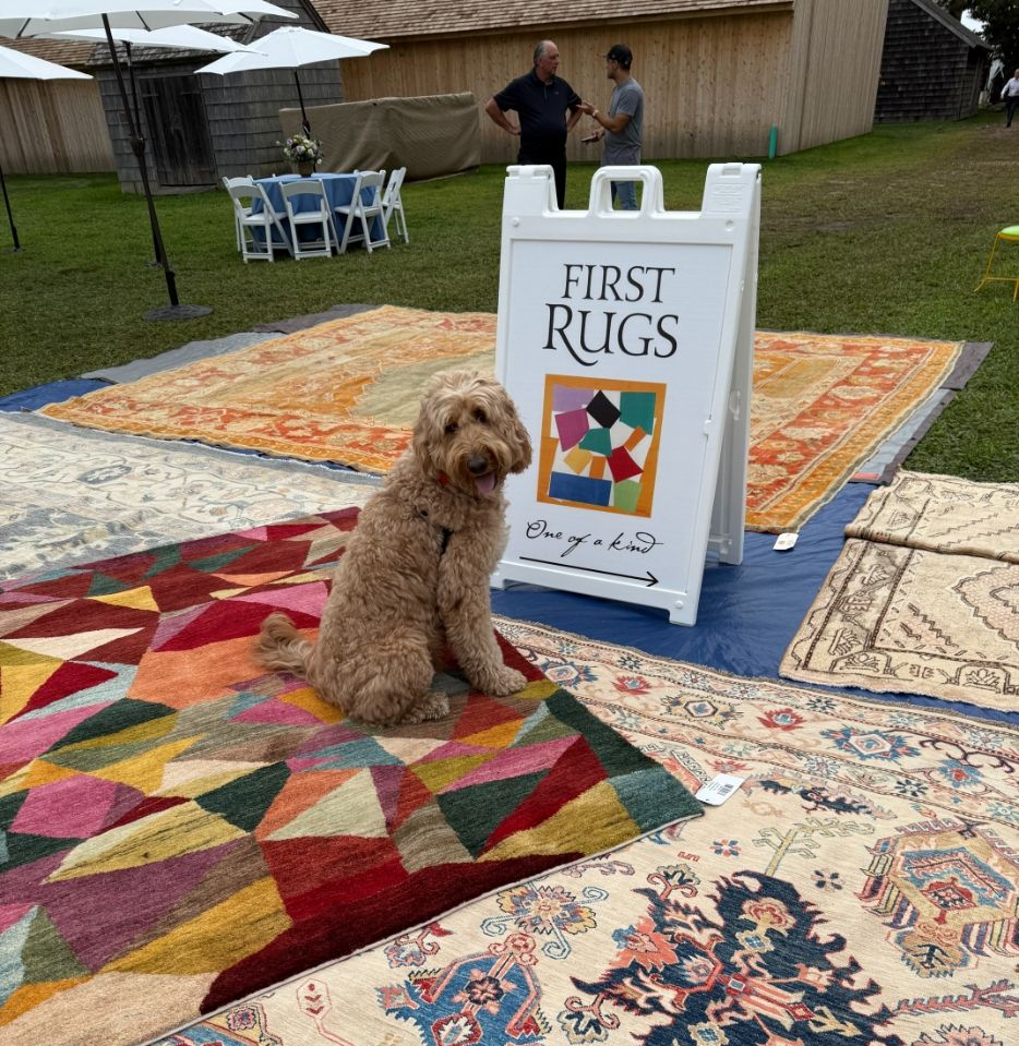 Dog sitting beside “First Rugs” sign on colorful outdoor rug display at a market