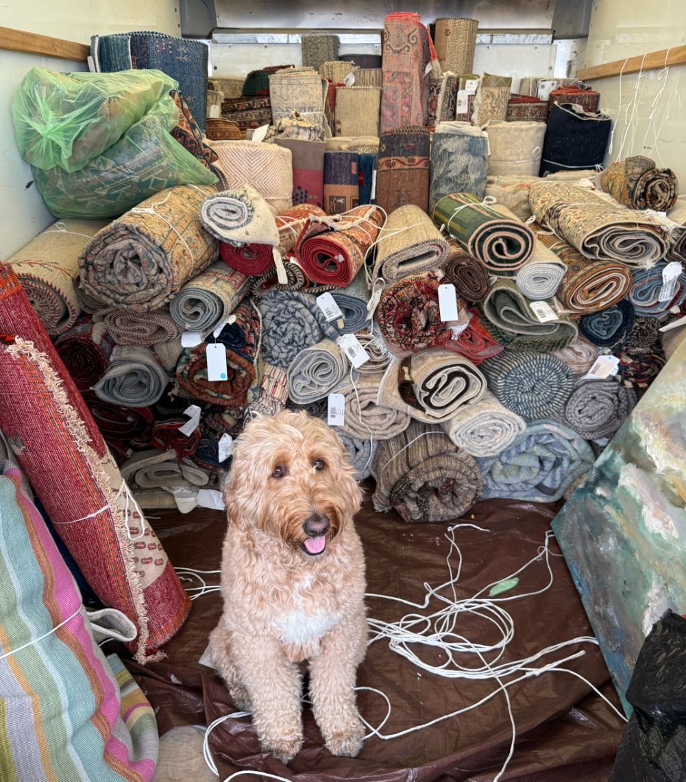 A First Rugs trailer packed with rolled rugs going to the antiques fair.