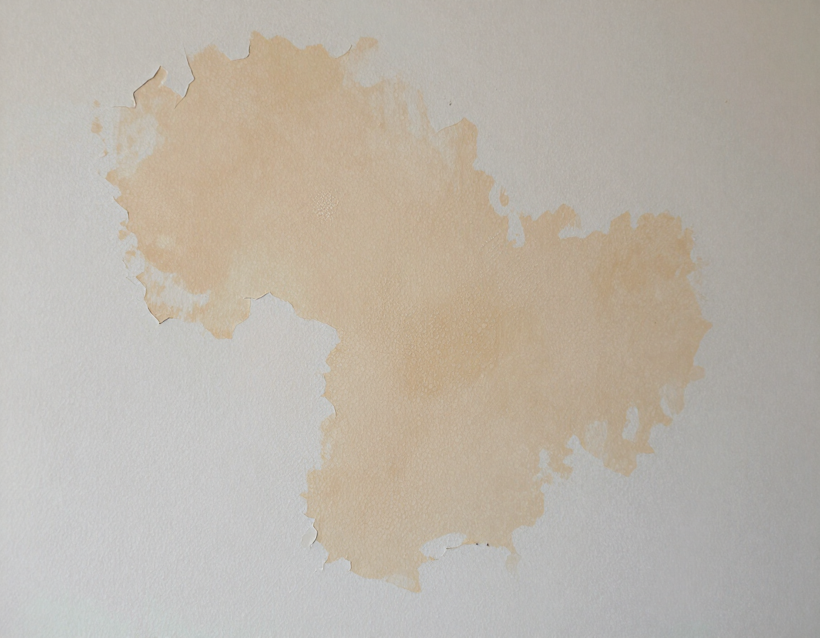 Mancha irregular de color beige claro en una pared blanca