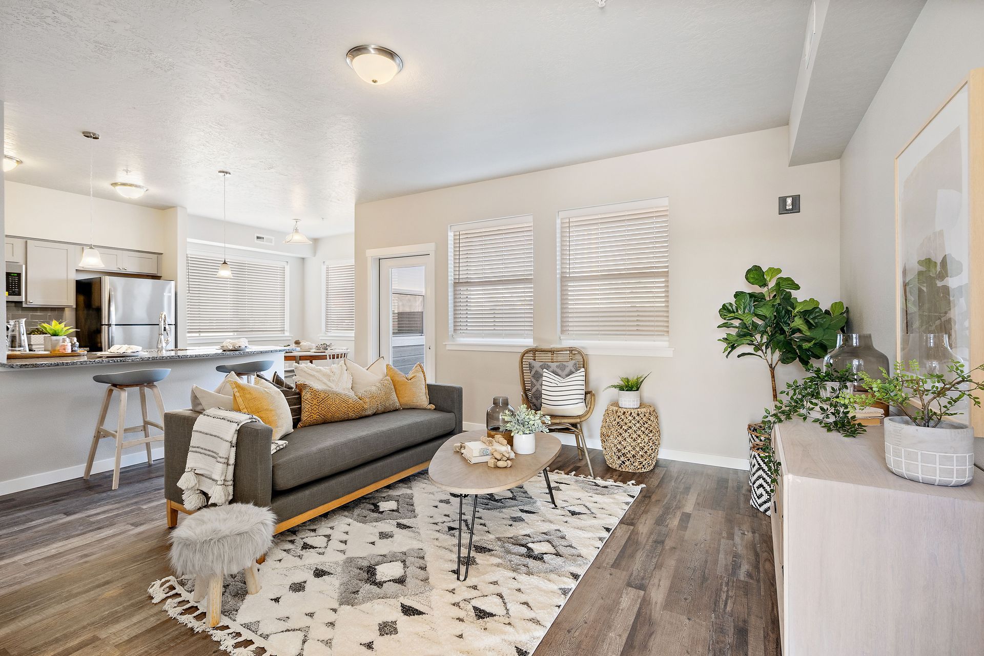 Brownstone flats living room and kitchen in back