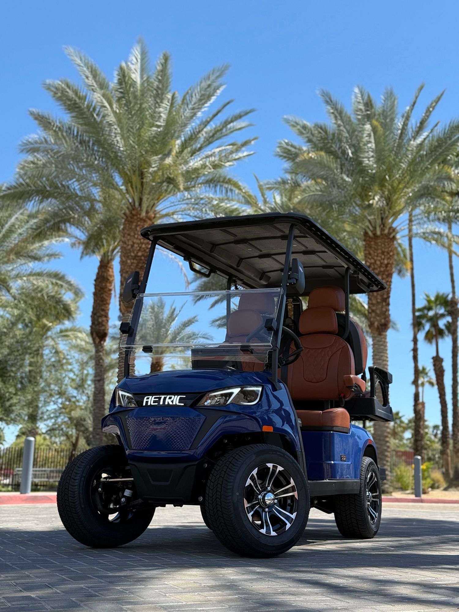Ateric Golf Cart in front of PalmTrees