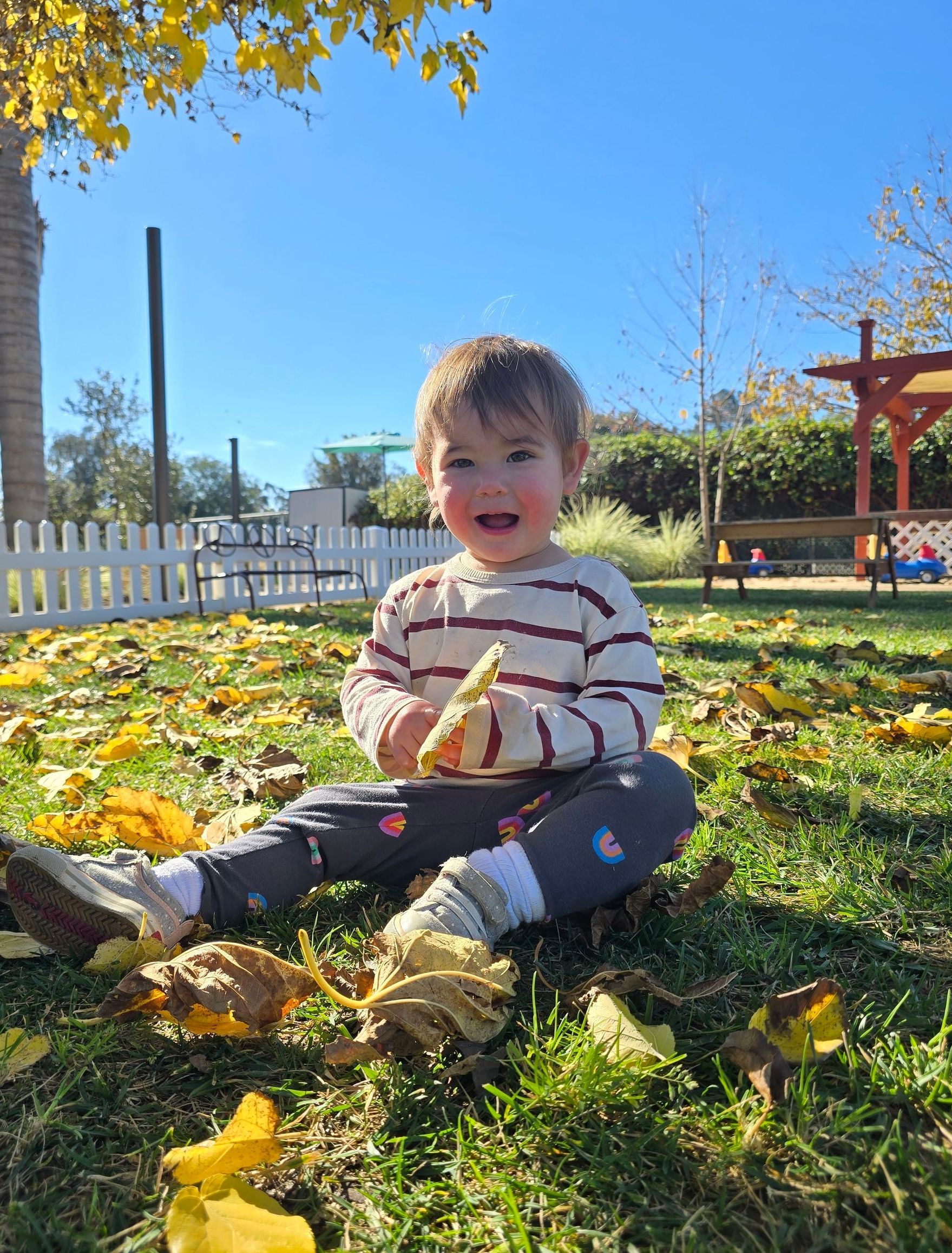 Montessori Toddler program