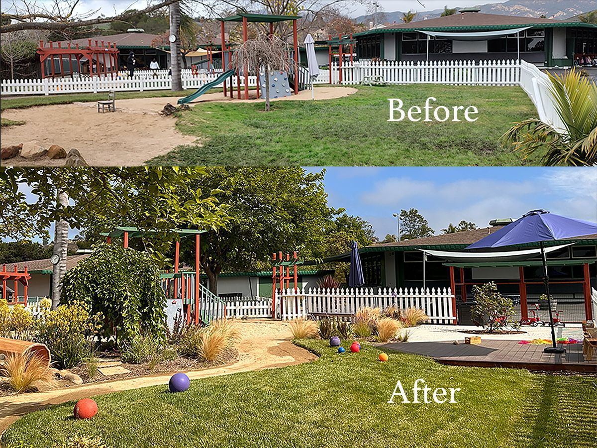yard before and after