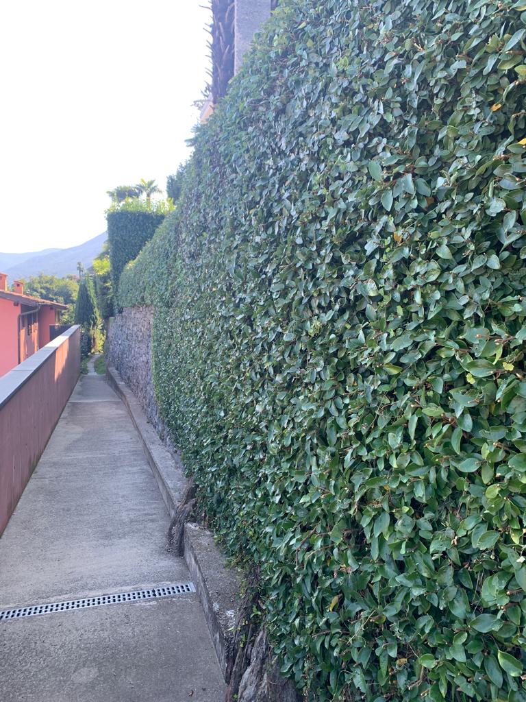 giardini dopo