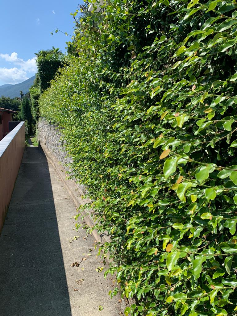 giardini prima