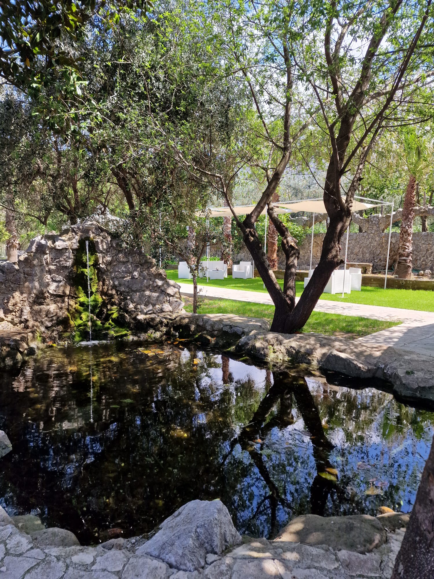 stagno circondato da rocce e alberi nel giardino di un ristorante