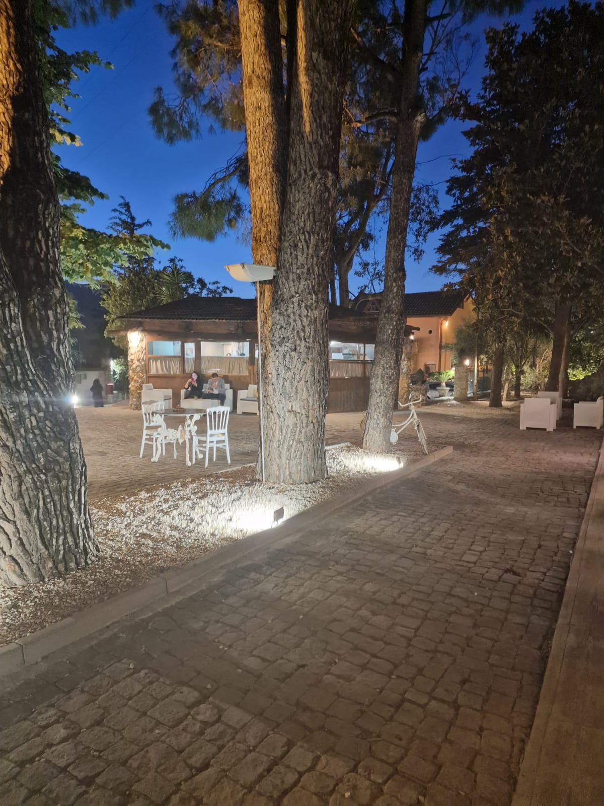 passerella in mattoni con tavoli e sedie circondata da alberi di notte