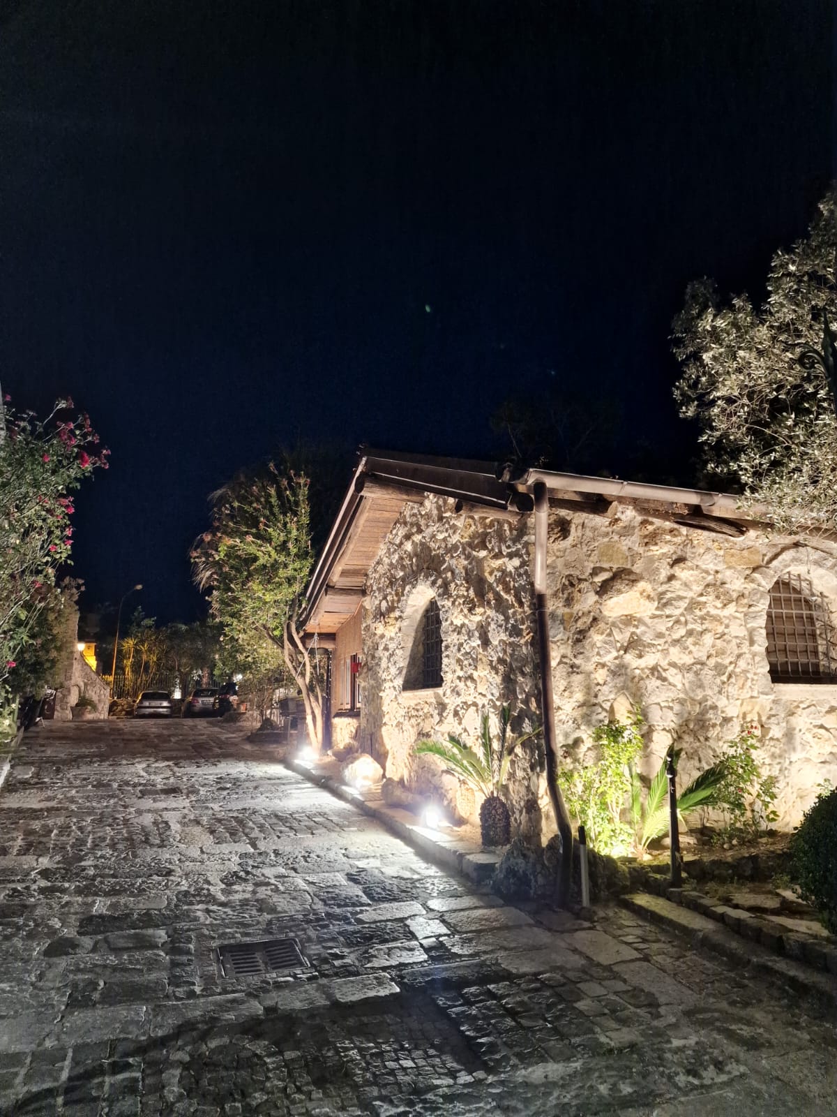 ristorante Tenuta Olivia