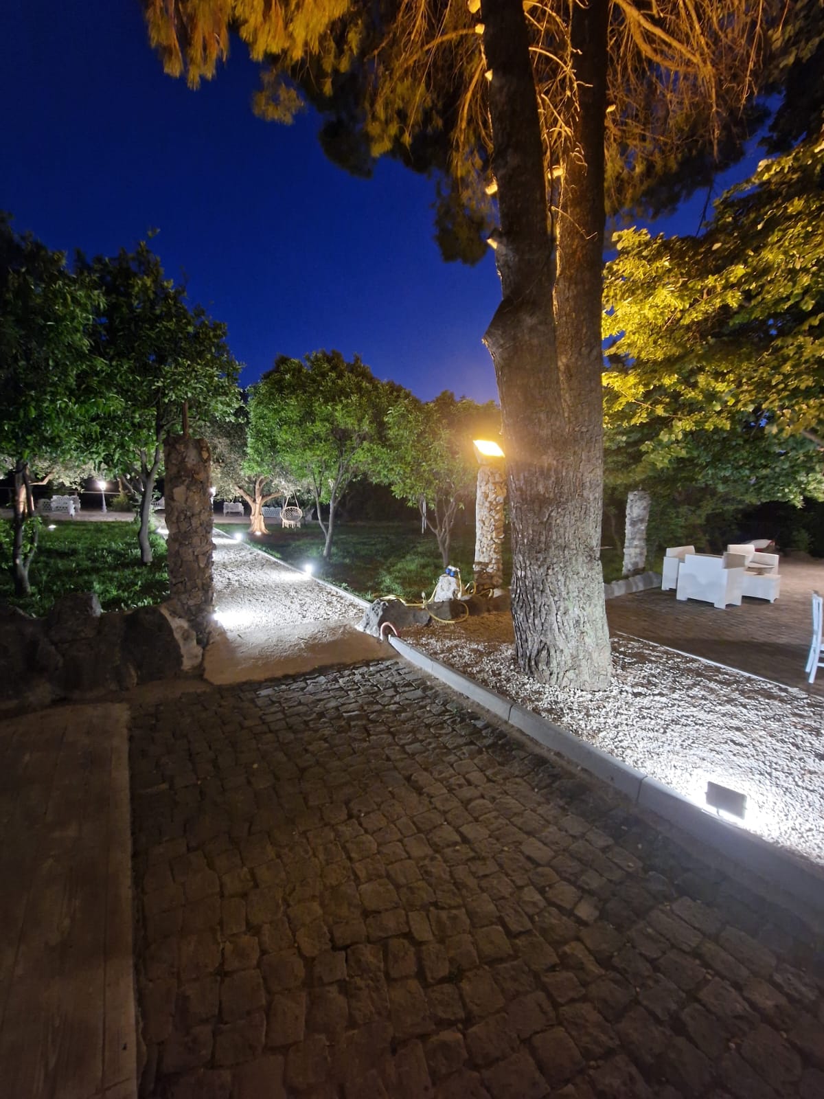 passerella di mattoni circondata da alberi, illuminata di notte