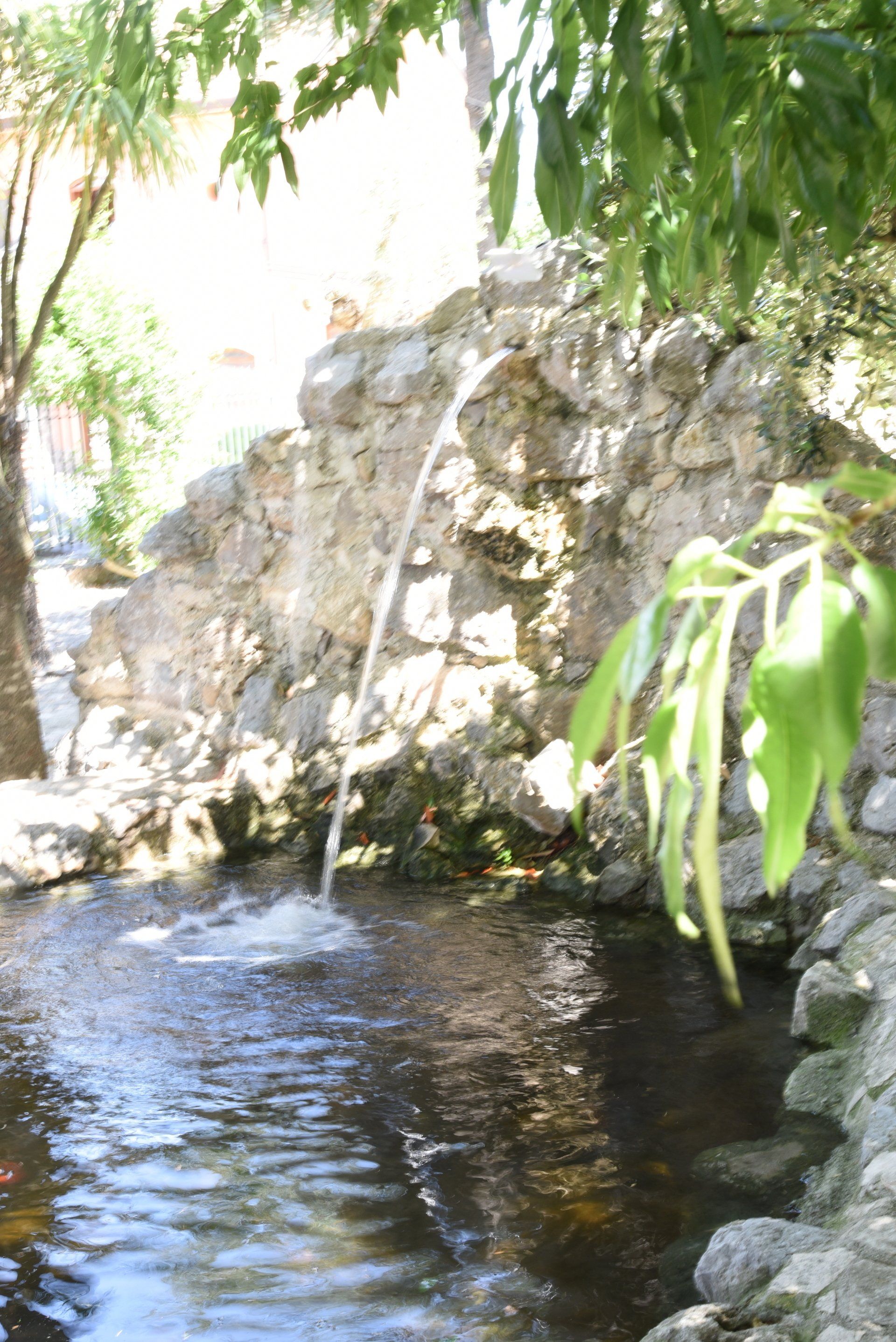 piccola cascata circondata da rocce e alberi