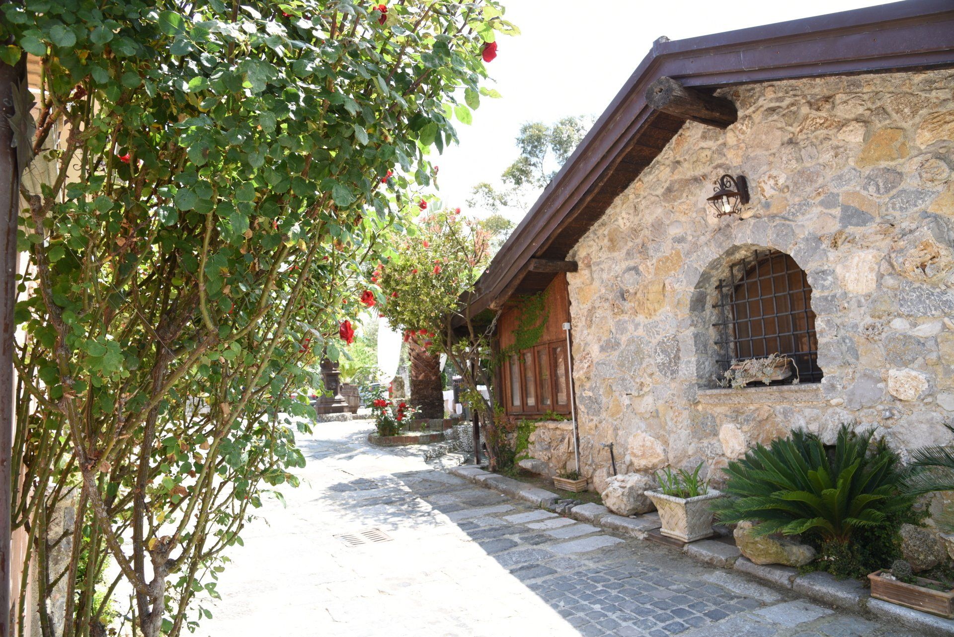 esterni B&B Tenuta Olivia 5
