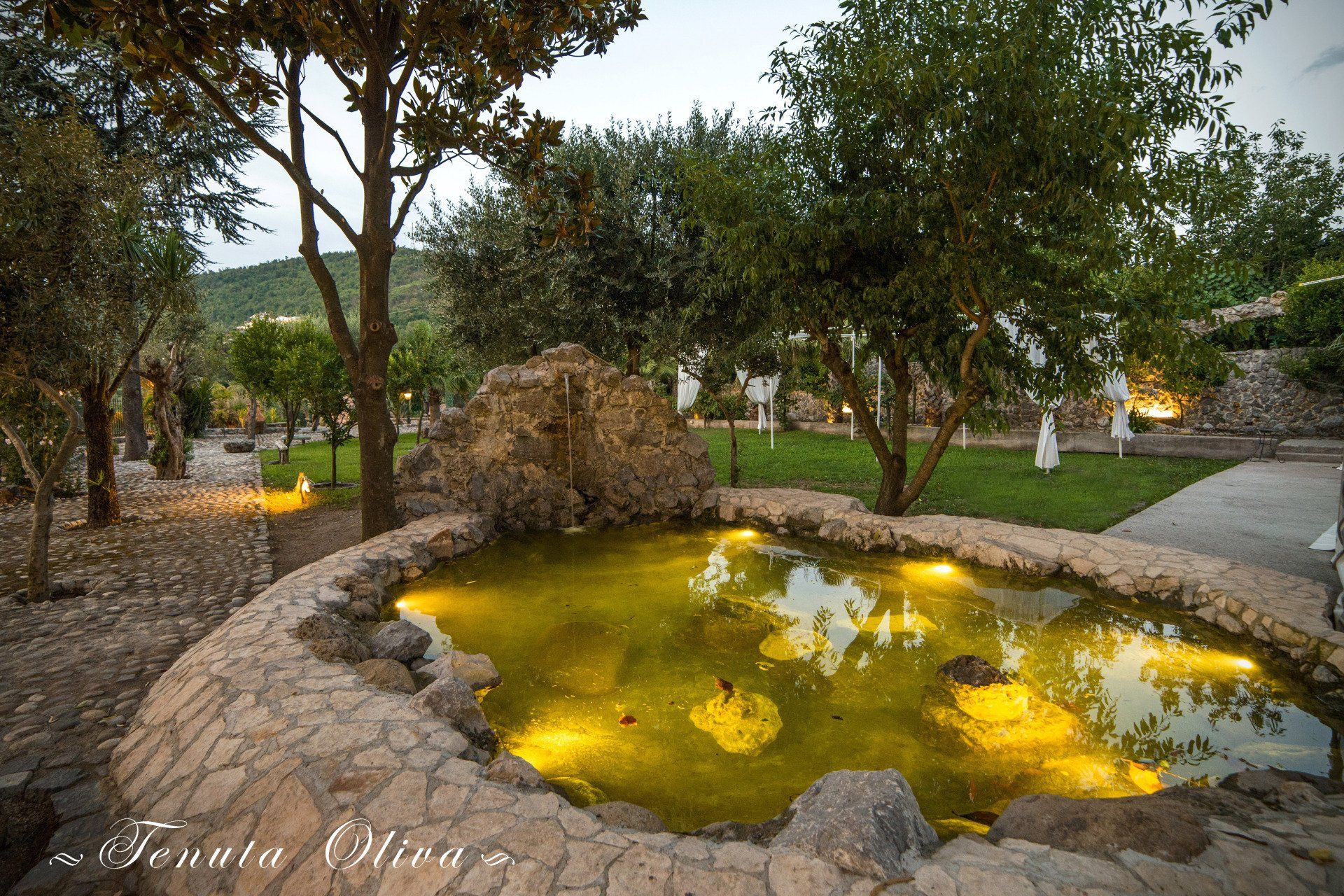 esterni B&B Tenuta Olivia 8