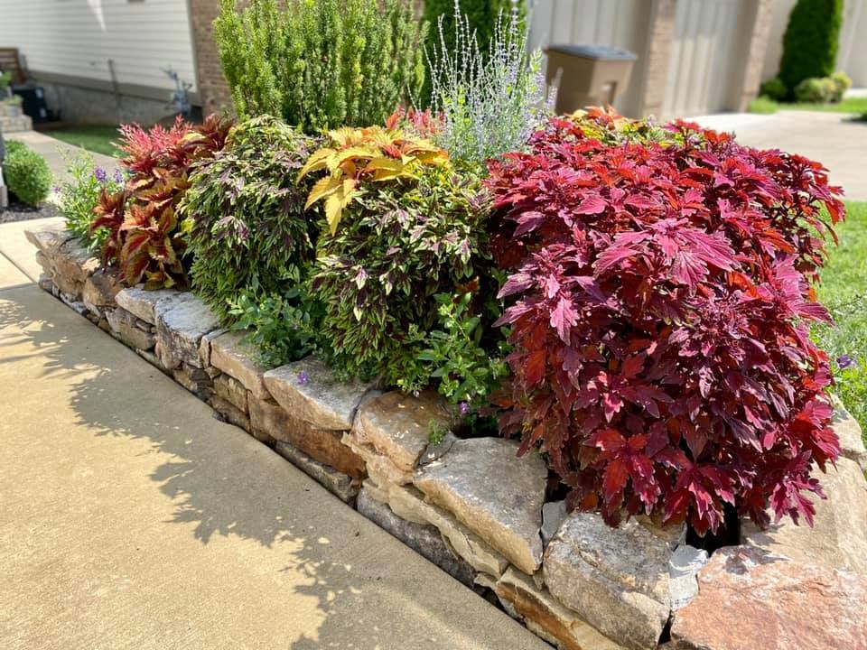 best landscaper in nashville