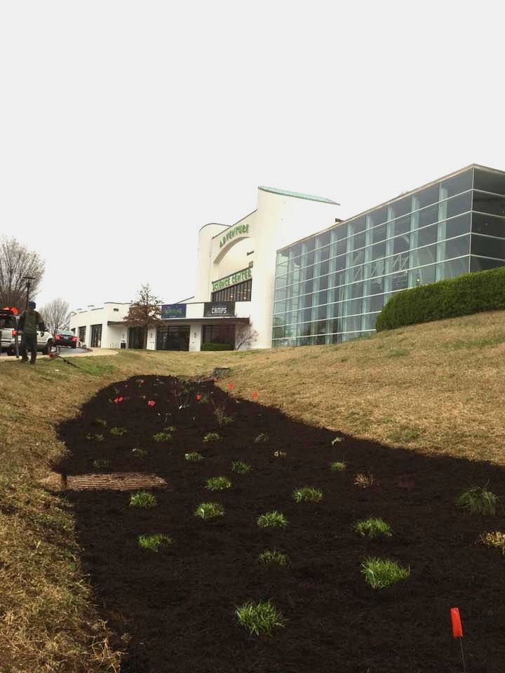 best landscaper in nashville