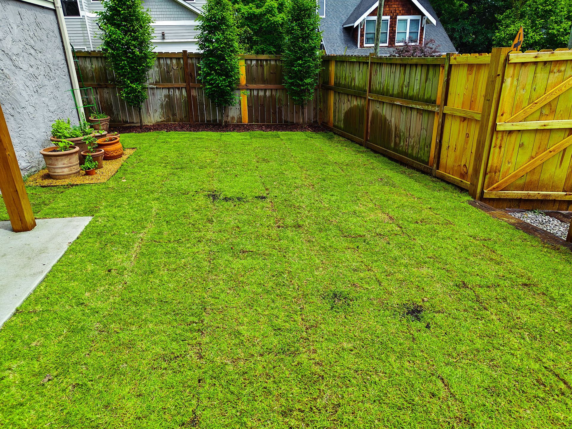 sod installation in middle tennessee