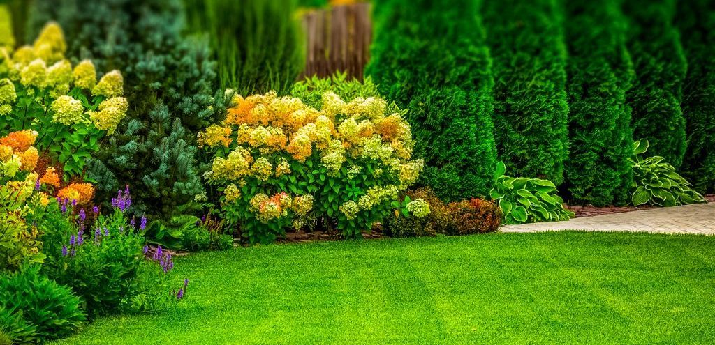Landscape Design