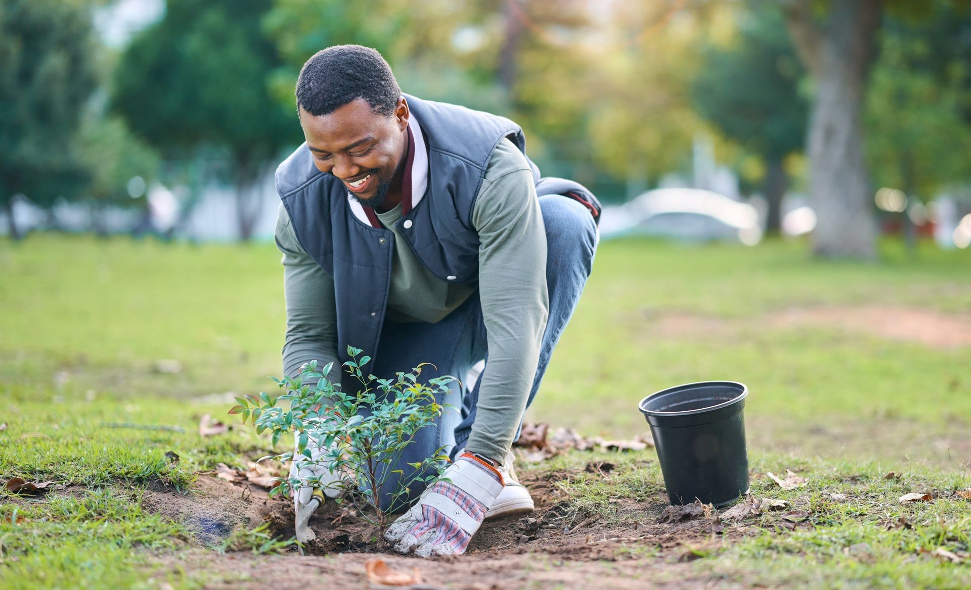 planting trees