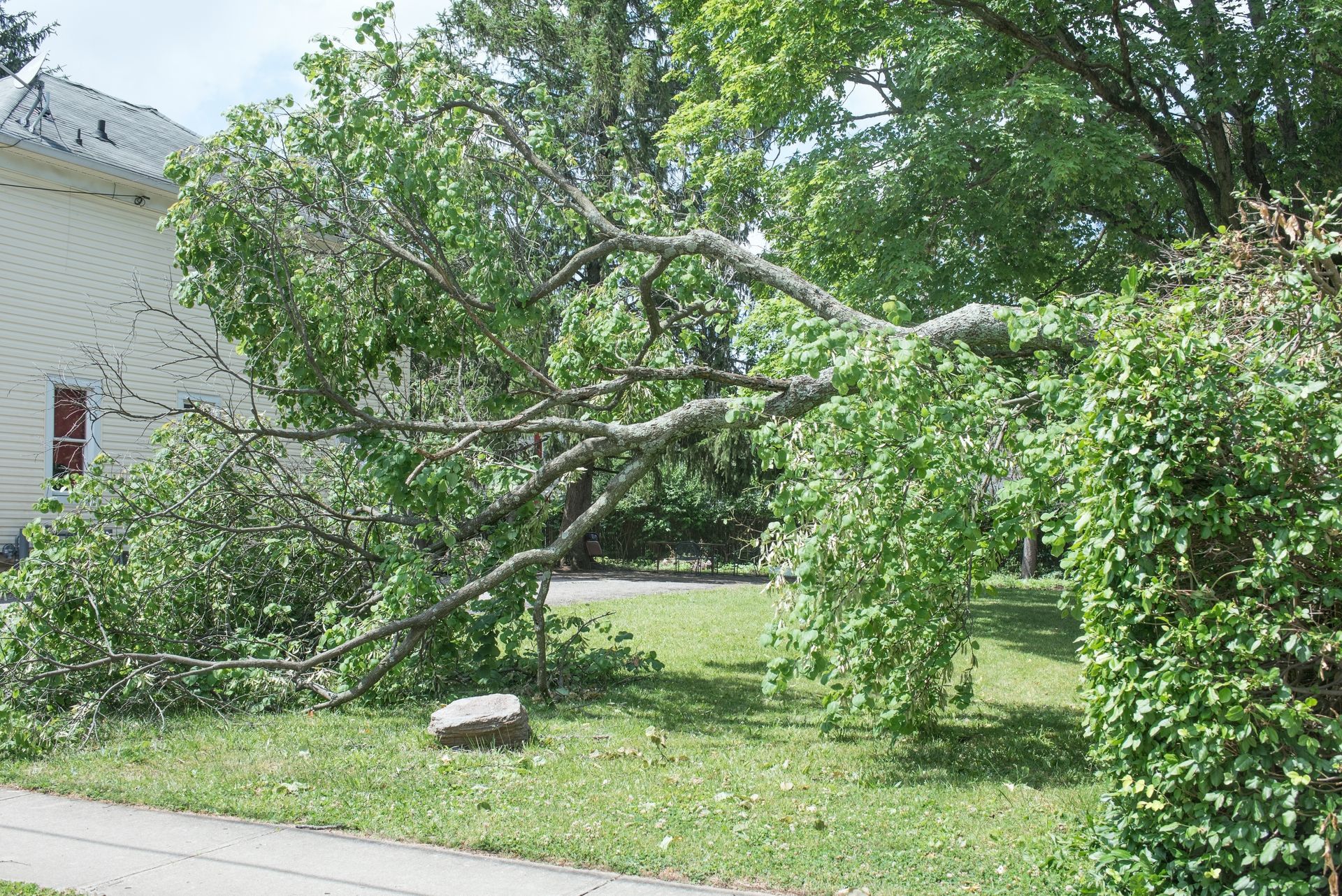 Nashville Storm Damage